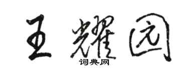 駱恆光王耀園行書個性簽名怎么寫