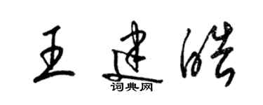 梁錦英王建皓草書個性簽名怎么寫