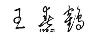 駱恆光王春鶴草書個性簽名怎么寫