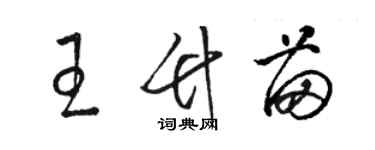 駱恆光王竹苗草書個性簽名怎么寫