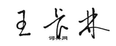 駱恆光王卡林草書個性簽名怎么寫