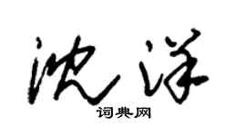 朱錫榮沈洋草書個性簽名怎么寫
