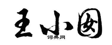 胡問遂王小囡行書個性簽名怎么寫