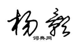 朱錫榮楊影草書個性簽名怎么寫