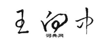 駱恆光王向中草書個性簽名怎么寫