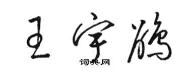 駱恆光王宇鵑草書個性簽名怎么寫