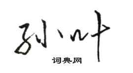 駱恆光孫葉行書個性簽名怎么寫