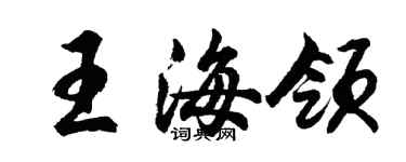 胡問遂王海領行書個性簽名怎么寫