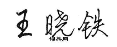 駱恆光王曉鐵行書個性簽名怎么寫