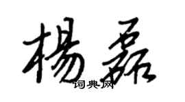 王正良楊磊行書個性簽名怎么寫