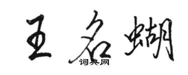 駱恆光王名蝴行書個性簽名怎么寫