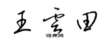 梁錦英王雲田草書個性簽名怎么寫