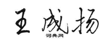 駱恆光王成揚行書個性簽名怎么寫