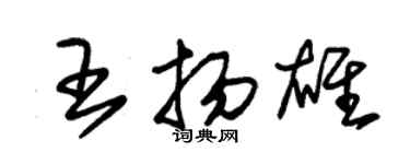 朱錫榮王揚雄草書個性簽名怎么寫