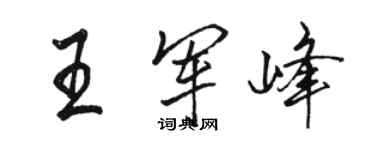 駱恆光王軍峰行書個性簽名怎么寫