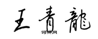 王正良王青龍行書個性簽名怎么寫