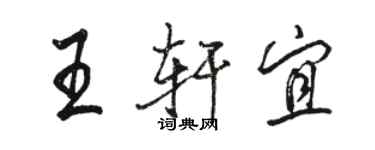 駱恆光王軒宜行書個性簽名怎么寫