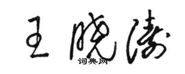 駱恆光王曉濤草書個性簽名怎么寫