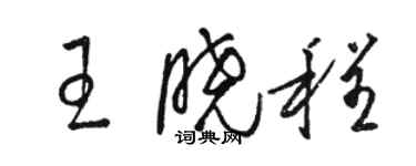 駱恆光王曉程草書個性簽名怎么寫