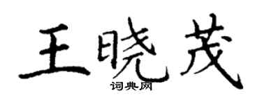 丁謙王曉茂楷書個性簽名怎么寫
