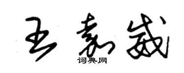 朱錫榮王嘉威草書個性簽名怎么寫