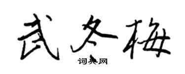 王正良武冬梅行書個性簽名怎么寫