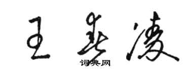 駱恆光王春凌草書個性簽名怎么寫