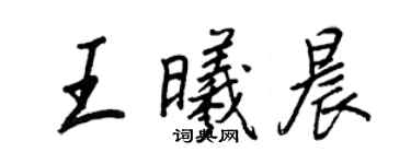 王正良王曦晨行書個性簽名怎么寫