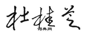駱恆光杜桂芝草書個性簽名怎么寫