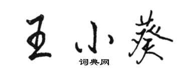 駱恆光王小葵行書個性簽名怎么寫