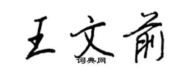 王正良王文前行書個性簽名怎么寫