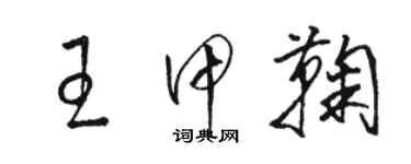 駱恆光王甲鞠草書個性簽名怎么寫