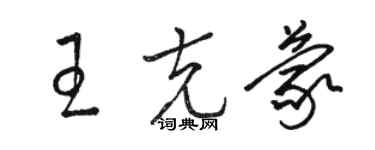 駱恆光王克蒙草書個性簽名怎么寫