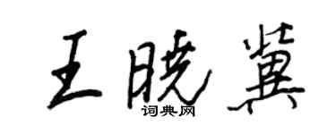 王正良王曉冀行書個性簽名怎么寫