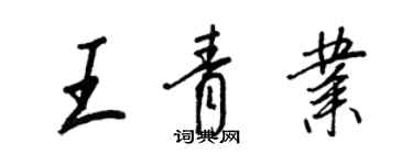 王正良王青業行書個性簽名怎么寫