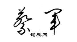 梁錦英蔡軍草書個性簽名怎么寫