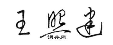 駱恆光王照建草書個性簽名怎么寫