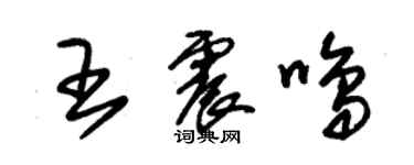 朱錫榮王震鳴草書個性簽名怎么寫