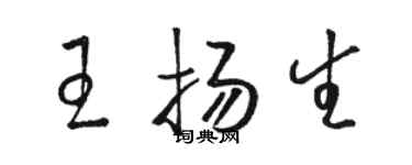 駱恆光王揚生草書個性簽名怎么寫