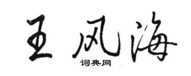 駱恆光王風海行書個性簽名怎么寫