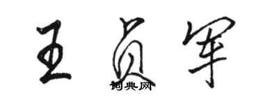 駱恆光王貞軍行書個性簽名怎么寫