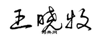 曾慶福王曉牧草書個性簽名怎么寫