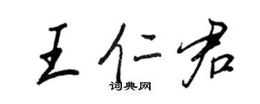 王正良王仁君行書個性簽名怎么寫