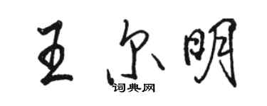 駱恆光王爾明行書個性簽名怎么寫