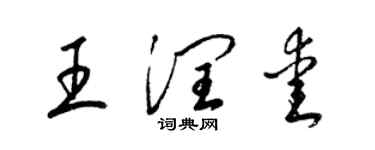 梁錦英王潤愛草書個性簽名怎么寫