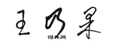 駱恆光王乃果草書個性簽名怎么寫