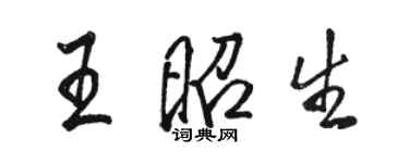 駱恆光王昭生行書個性簽名怎么寫