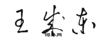 駱恆光王成東草書個性簽名怎么寫