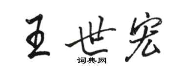駱恆光王世宏行書個性簽名怎么寫