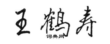 駱恆光王鶴壽行書個性簽名怎么寫